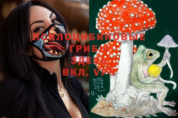 тгк Козельск