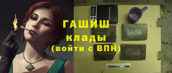ПСИЛОЦИБИНОВЫЕ ГРИБЫ Козловка
