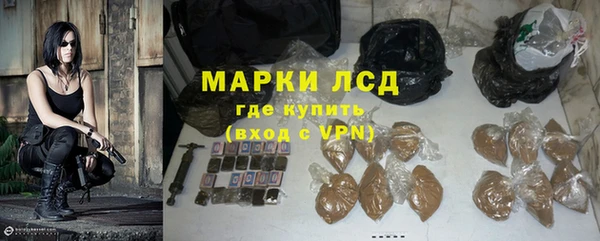 ПСИЛОЦИБИНОВЫЕ ГРИБЫ Козловка