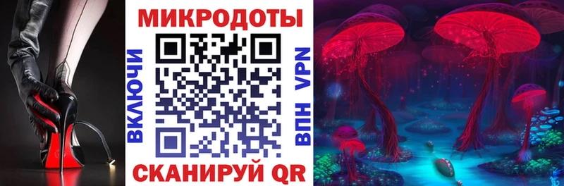 Купить где  Бузулук  Псилоцибиновые грибы Cubensis 