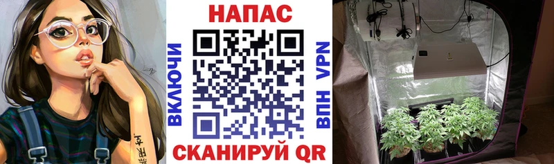 Купить где  Бузулук  Бошки Шишки THC 21% 